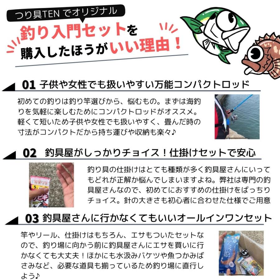 DAIWA(釣り) ダイワ 海釣り入門 サビキ釣り&ちょい投げ釣りW DAIWA(釣り) ダイワ 海釣り入門 サビキ釣り&ちょい投げ釣りW