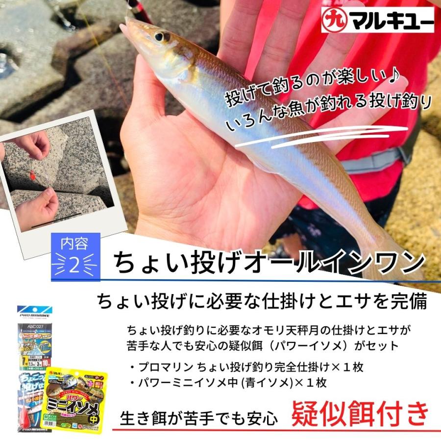 シマノで揃える ちょい投げ釣り完全釣り入門セット（竿・リール