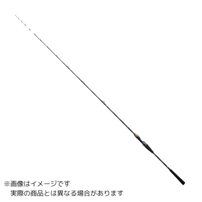 DAIWA（ダイワ） 23 極鋭タチウオテンヤSP EX 82-174 【大型商品3