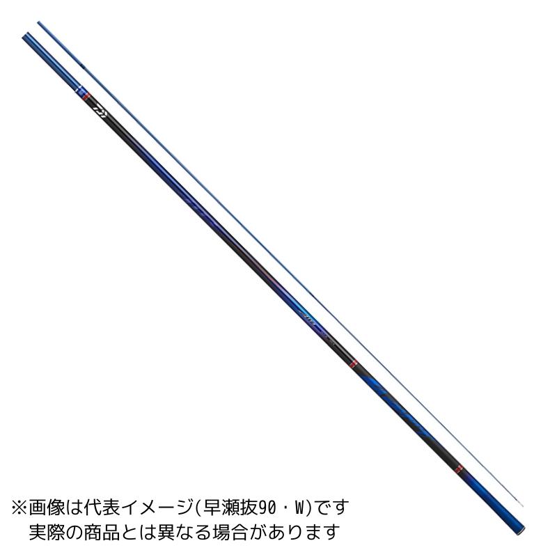 DAIWA（ダイワ） 24 銀影エア MT 大鮎 110・W 【大型商品180