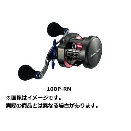 DAIWA（釣り） ダイワ 17 SALTIGA(ソルティガ) BJ 100PL-RM(左