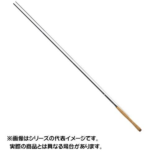 ダイワ 19 テンカラ X 30