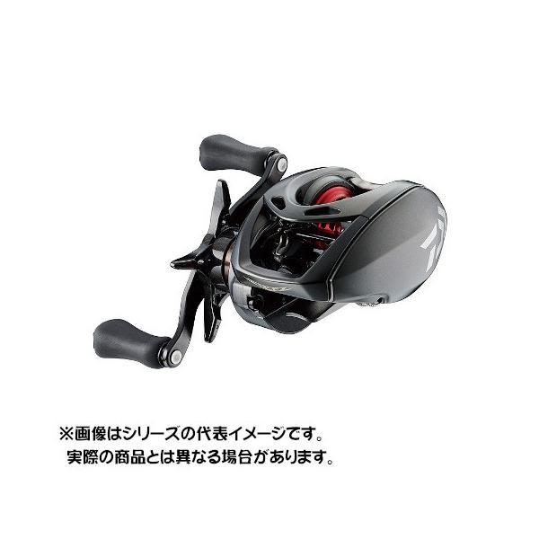 DAIWA（釣り） ダイワ 19 STEEZ(スティーズ) AIR TW 500XXHL(左