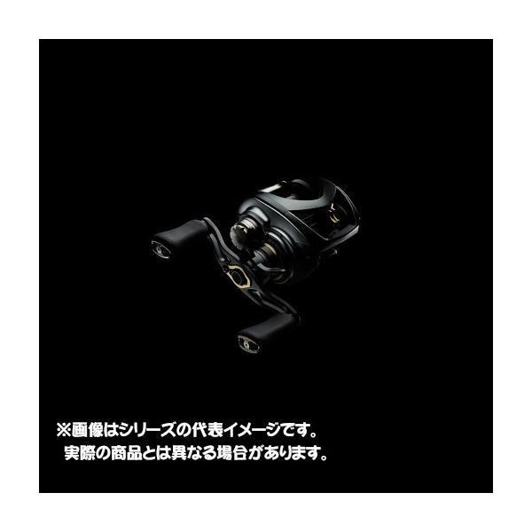 DAIWA（釣り） ダイワ 20 STEEZ(スティーズ) CT SV TW 700SHL