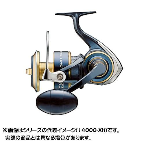 t*1様 ダイワ、20ソルティガ10000H DAIWA（ダイワ） 20 ソルティガ 10000-H : ヨコオネット Yahoo!店