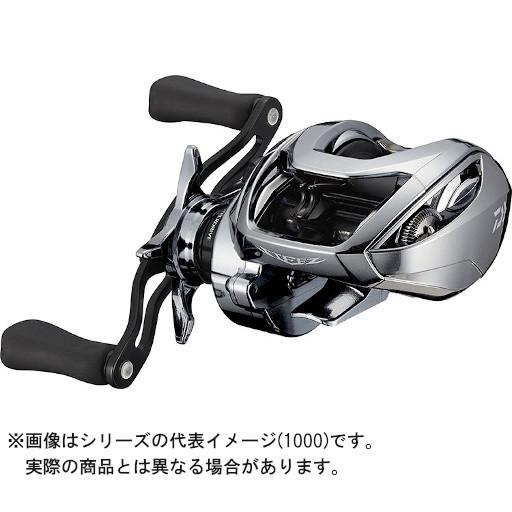 DAIWA（ダイワ） 21 STEEZ LTD(スティーズリミテッド) SV TW 1000 (右