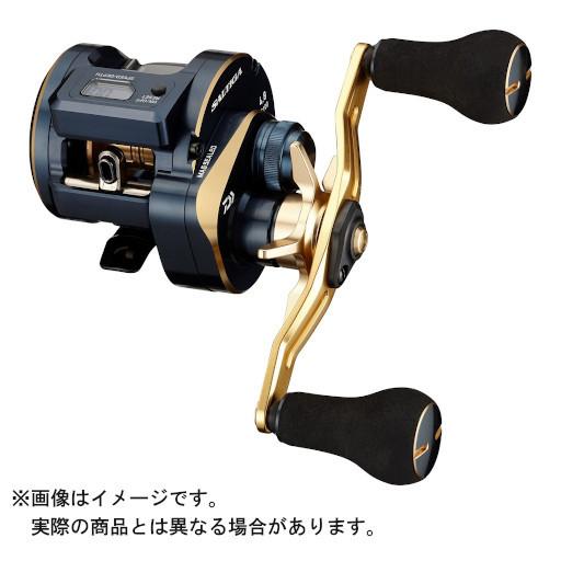 ダイワ DAIWA 21 ソルティガ IC 100PL-DH 新品未使用 DAIWA（ダイワ） 21 ソルティガIC 100PL-DH (左) : ヨコオネット Yahoo