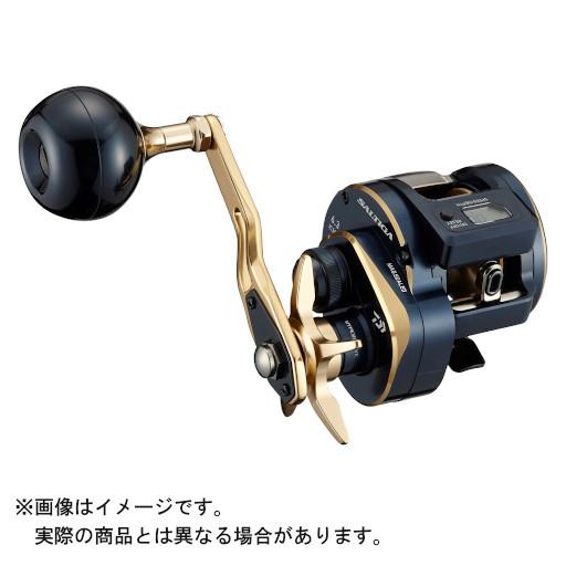 ダイワ 21 ソルティガIC 300 (右) : yn93741806 : ヨコオネット Yahoo 