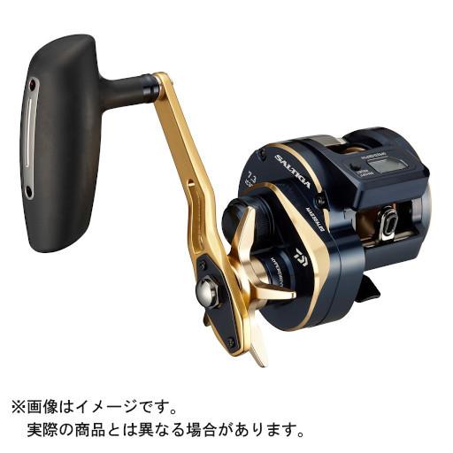 DAIWA（ダイワ） 21 ソルティガIC 300H-SJ (右) : ヨコオネット Yahoo