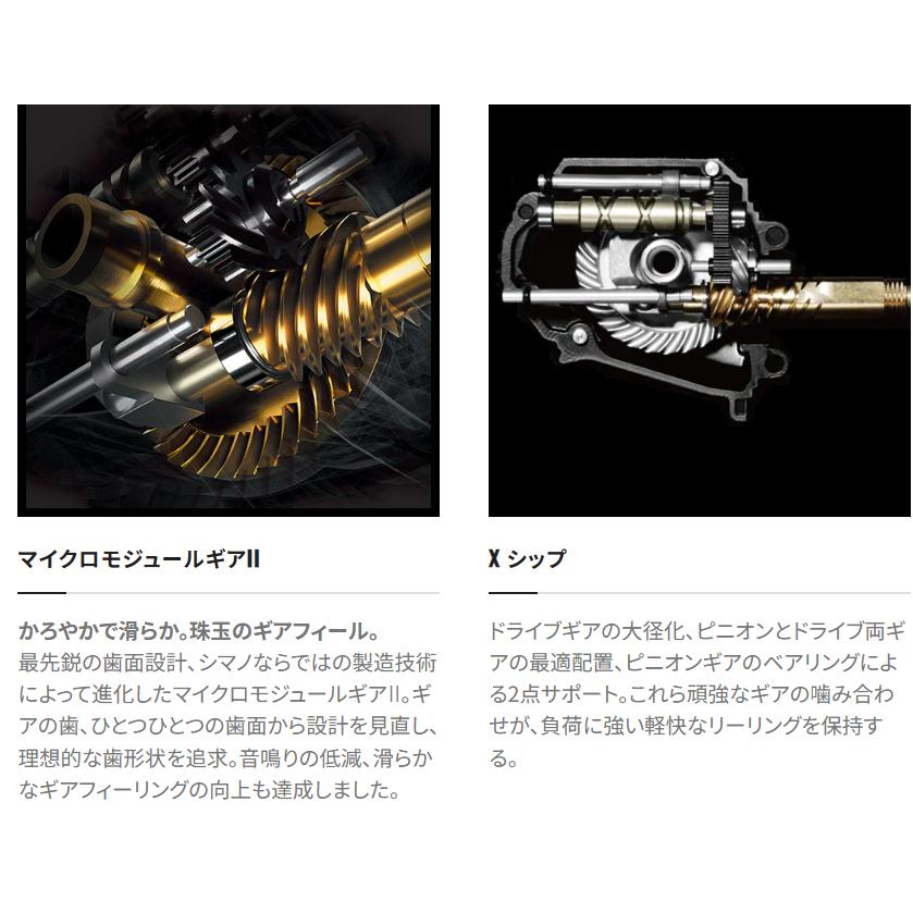 シマノ 送料無料 シマノ 23 ヴァンキッシュ C5000XG : いとう