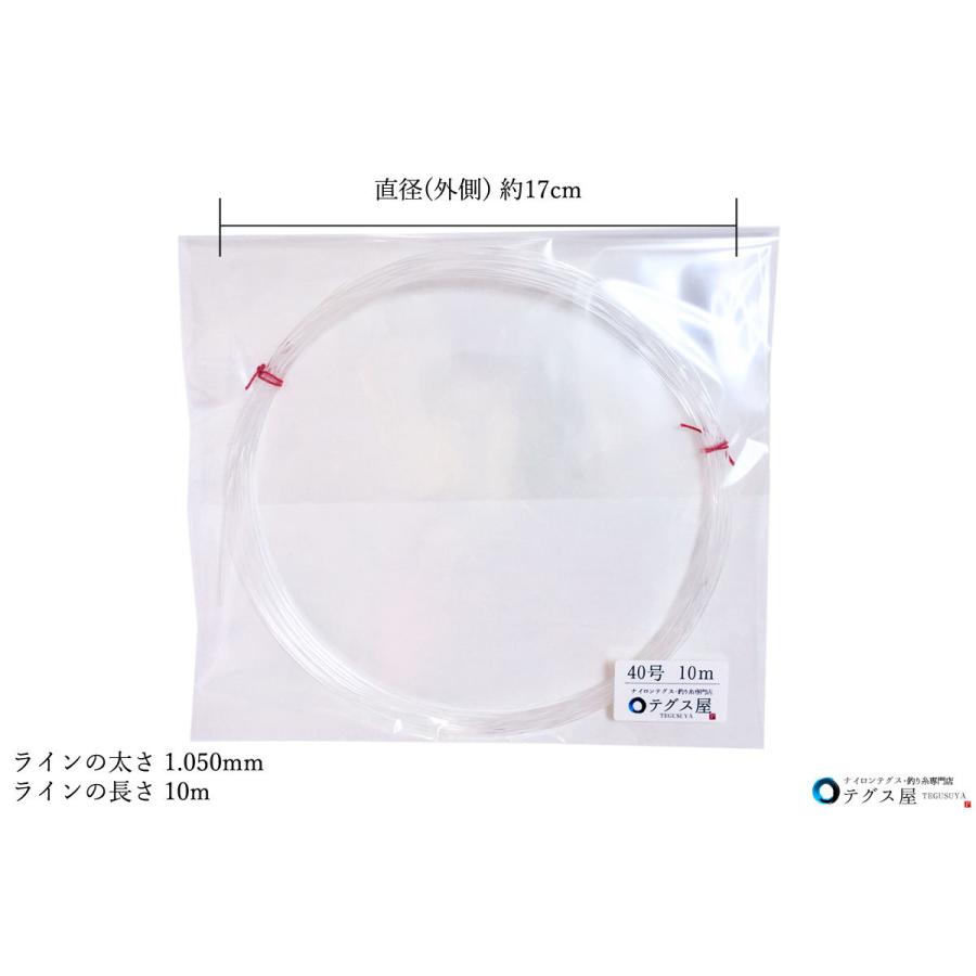 40号 10m ナイロン テグス 釣り糸 ライン 道糸 吊り下げ 小巻 スーパーロン 透明 高強度 国産 Dm便対応 代引不可 日時指定不可 T07 0401 テグス屋 Yahoo 店 通販 Yahoo ショッピング