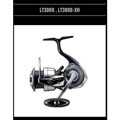 セットアップの通販 ダイワ 19 セルテート Lt3000 期間限定特価 釣り具 人気絶頂 Lebenlog Com Br