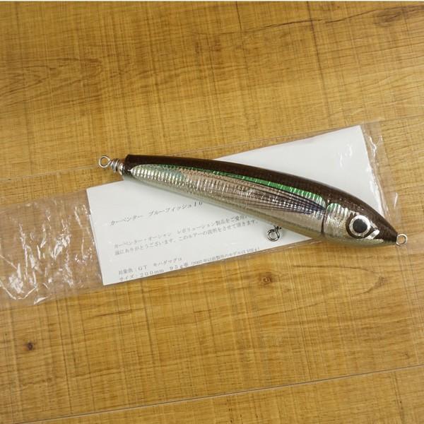 カーペンター ブルーフィッシュ 100/ T478S キャスティング ダイビング