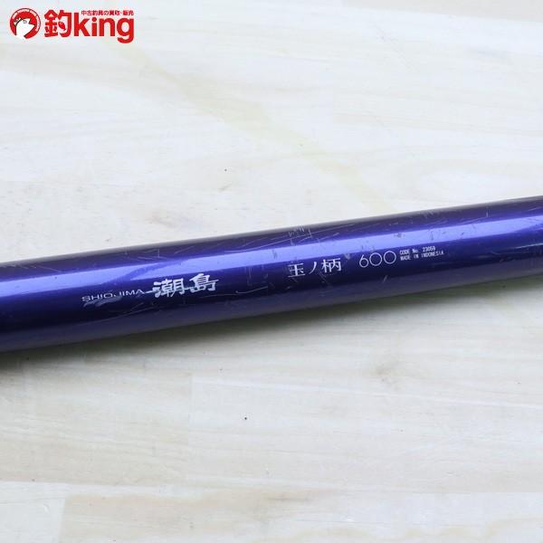 シマノ（SHIMANO） 潮島 玉ノ柄 600/C165L SHIMANO 釣り 磯竿 尾長