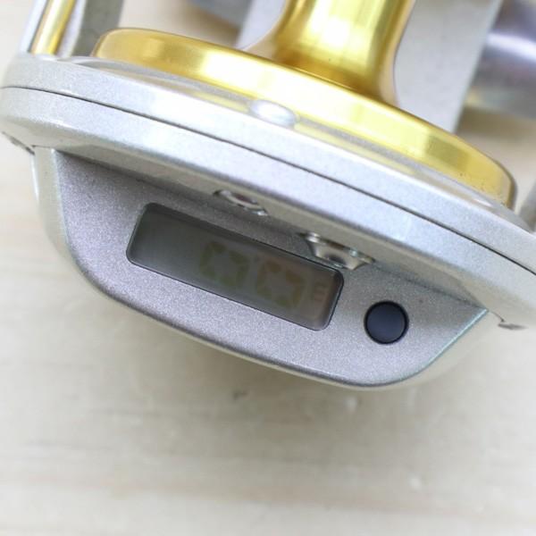 DAIWA（ダイワ） シーライン石鯛Z 40WH/C334M 美品 釣り 両軸リール