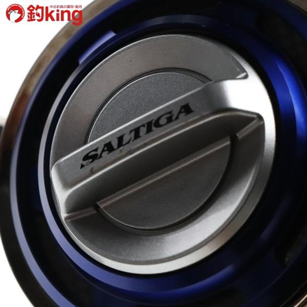 DAIWA(釣り) ダイワ 10ソルティガ 4500H/F419M ヒラマサ DAIWA(釣り) ダイワ 10ソルティガ 4500H/F419M ヒラマサ