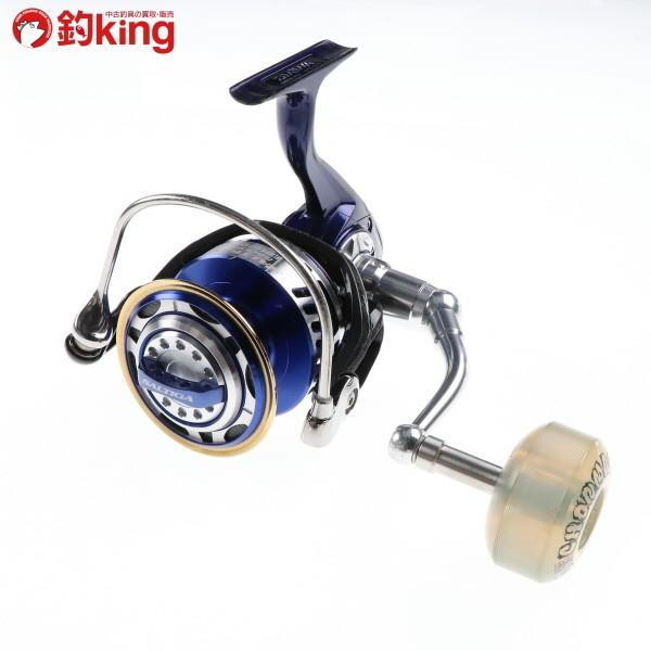 DAIWA（ダイワ） 14ソルティガ エクスペディション 5500H/G193M