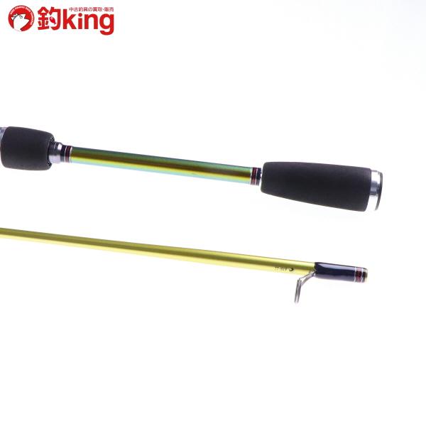 DAIWA（ダイワ） ソルティスト エクストリーム 月下美人 STX RF77-SVF