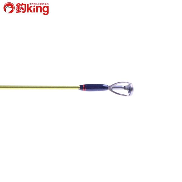 DAIWA（ダイワ） ソルティスト エクストリーム 月下美人 STX RF77-SVF