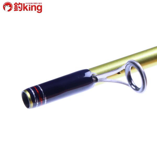 DAIWA（ダイワ） ソルティスト エクストリーム 月下美人 STX RF77-SVF