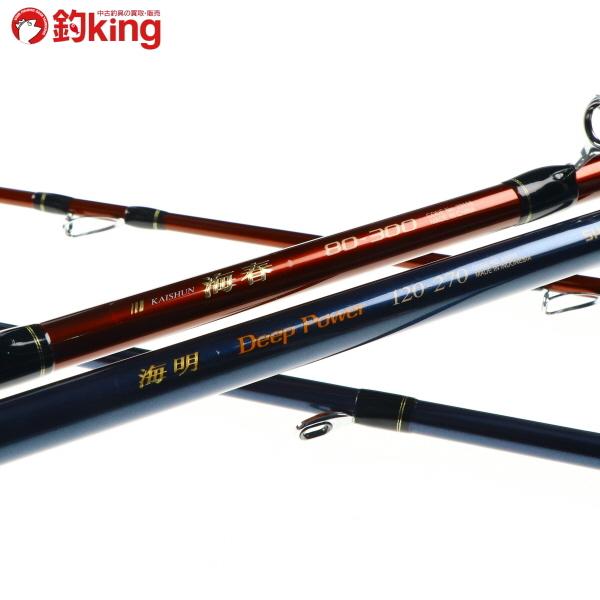 シマノ（SHIMANO） 海明 ディープパワー 120-270 海春 80-300 2本