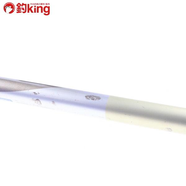 DAIWA（ダイワ） HZ ISO玉ノ柄 50 HS 磯玉網 45-540 2本セット/E244L
