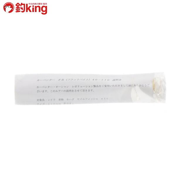 カーペンター 21 フラットベイト 40-110/F027S 未使用 ヒラマサキャスティング GT マグロ ソルト ルアー|tsuriking|02