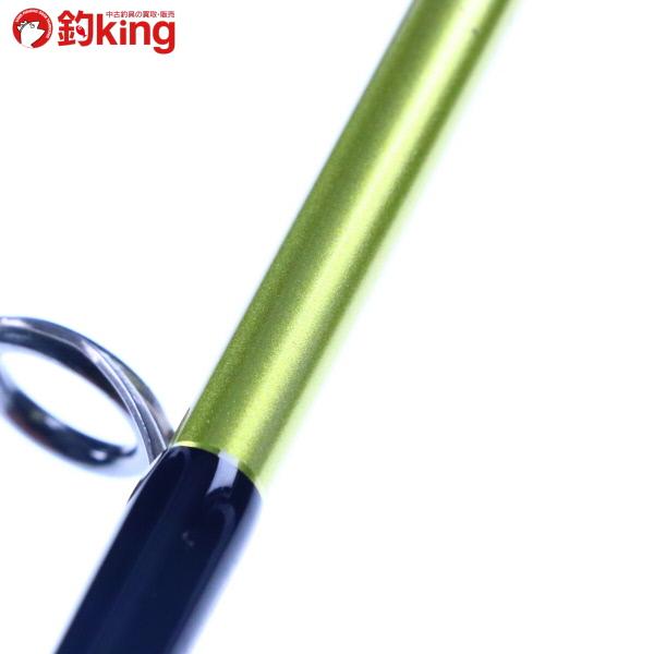 DAIWA（釣り） ダイワ ソルティスト エクストリーム 月下美人