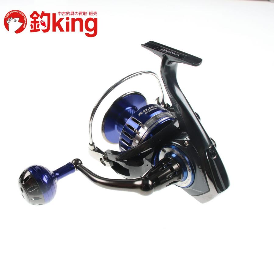 DAIWA（ダイワ） 15 ソルティガ 6500H /SL079M ヒラマサ カンパチ ブリ
