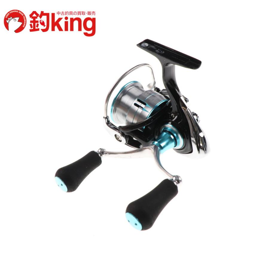 DAIWA（ダイワ） 19 エメラルダスLT 3000S-C-DH /SU038M アオリイカ