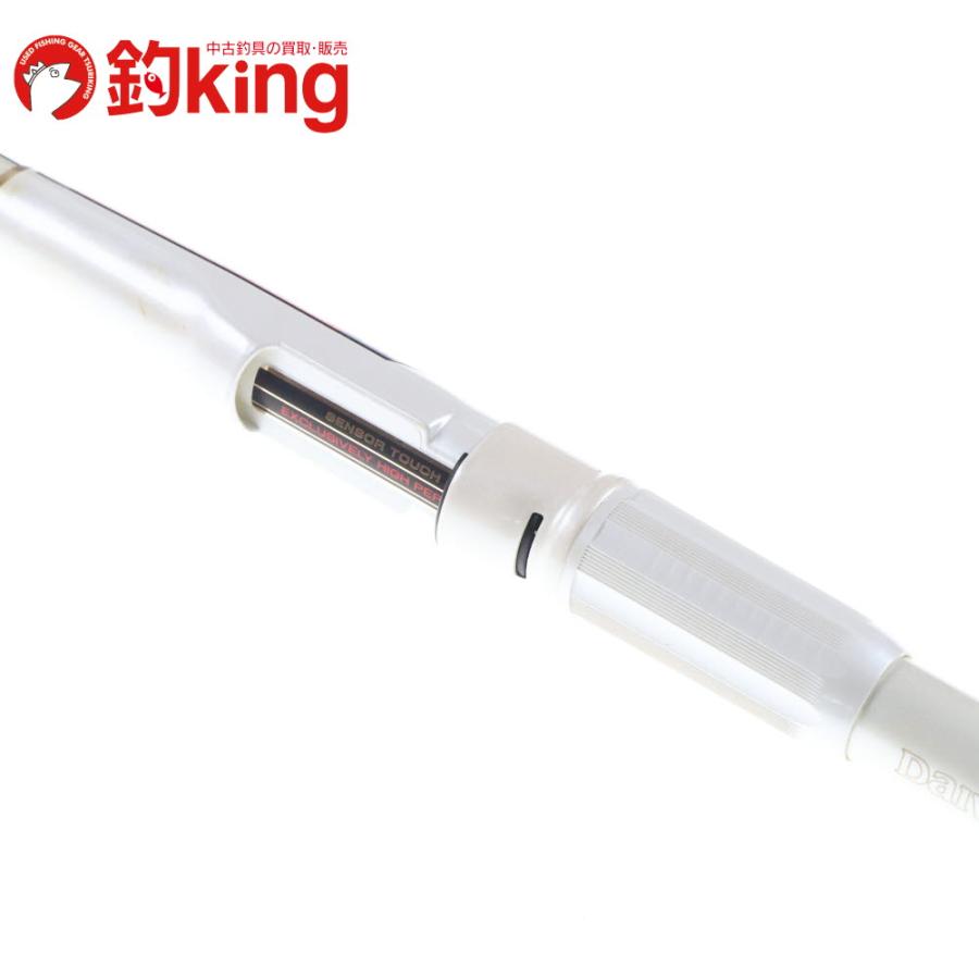 DAIWA（ダイワ） アモルファスウィスカー パワーメッシュ 剛弓 磯 1-53