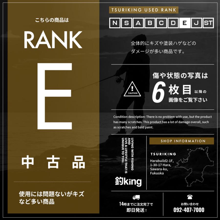 DAIKO（ダイコー） プロフィールド石鯛 スーパーロイヤル 500 手持ち