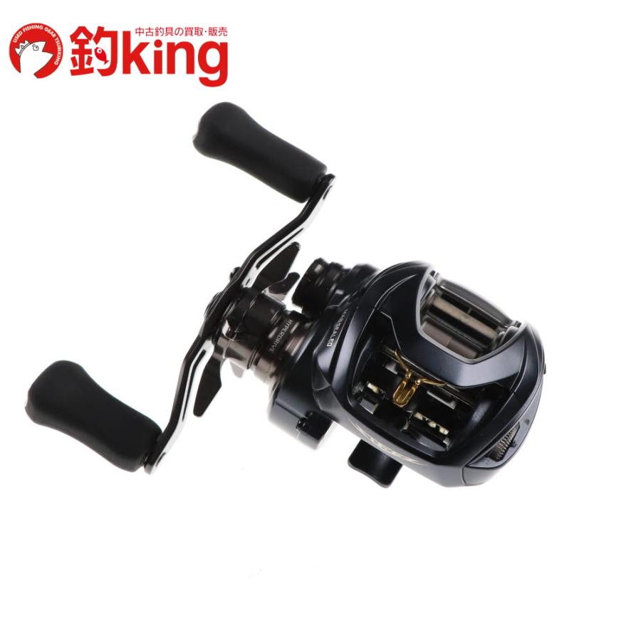 DAIWA（ダイワ） 23 スティーズ AII TW 1000H /A244M 未使用 ブラック