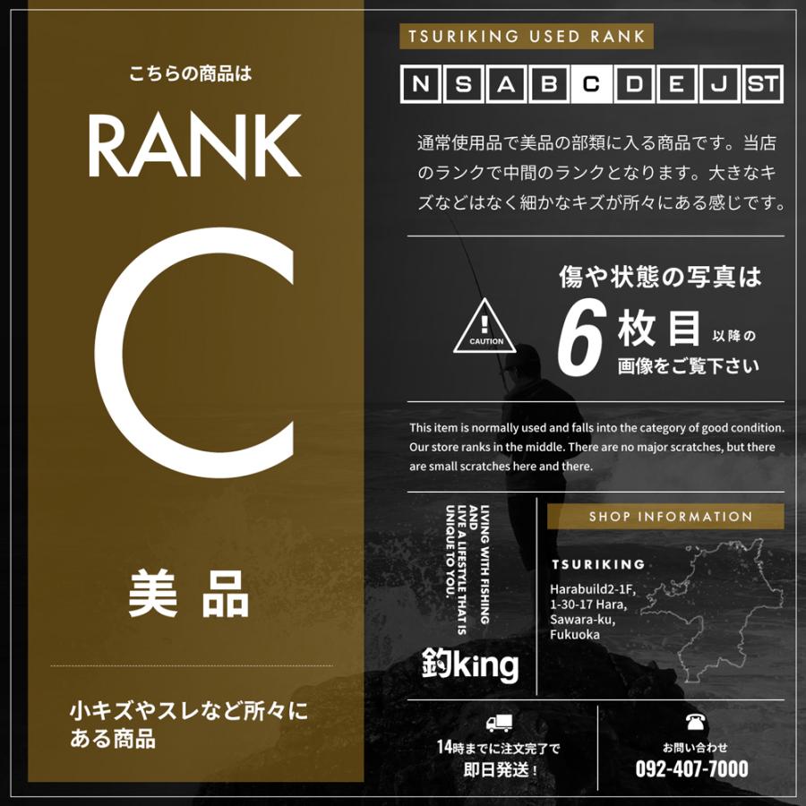 DAIWA（ダイワ） 龍聖 13 /S008L 美品 へらぶな へら鮒 ヘラ釣り へら
