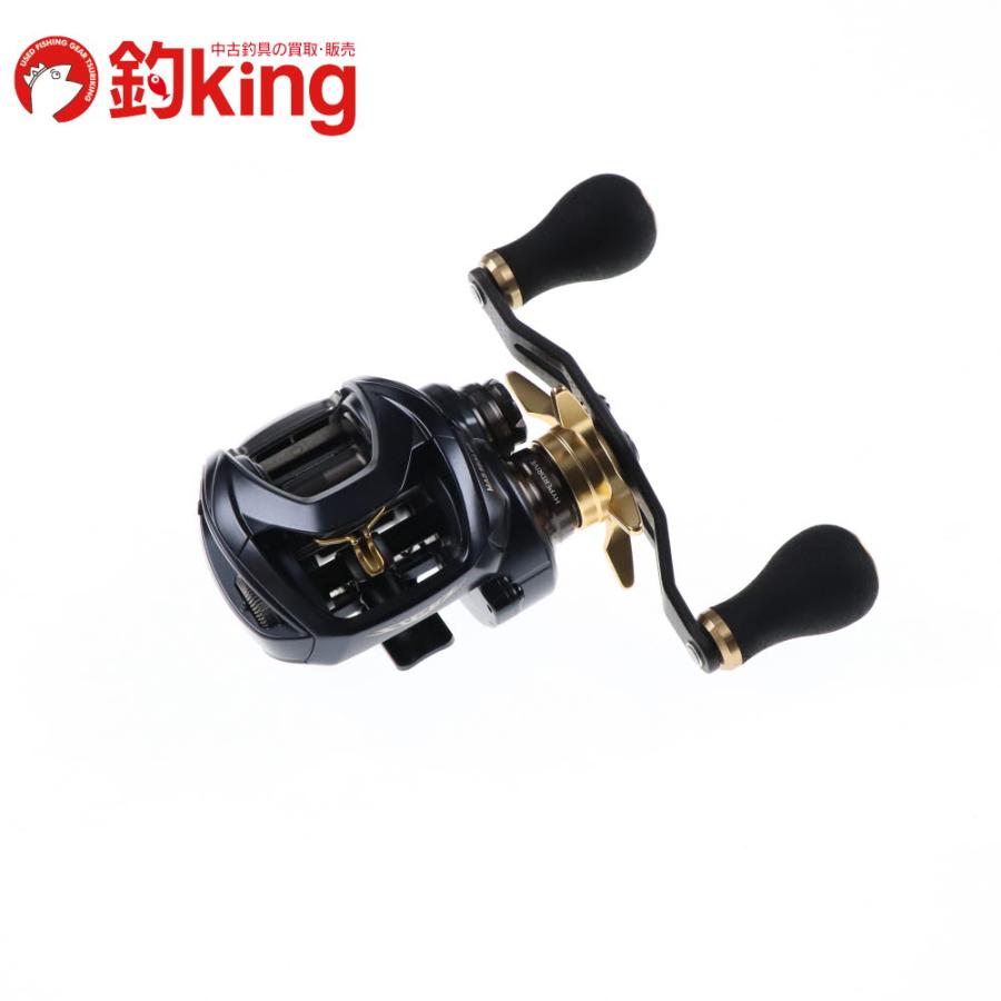 DAIWA（ダイワ） 23 スティーズ A II TW 1000HL SLPWK RCS95mmカーボン