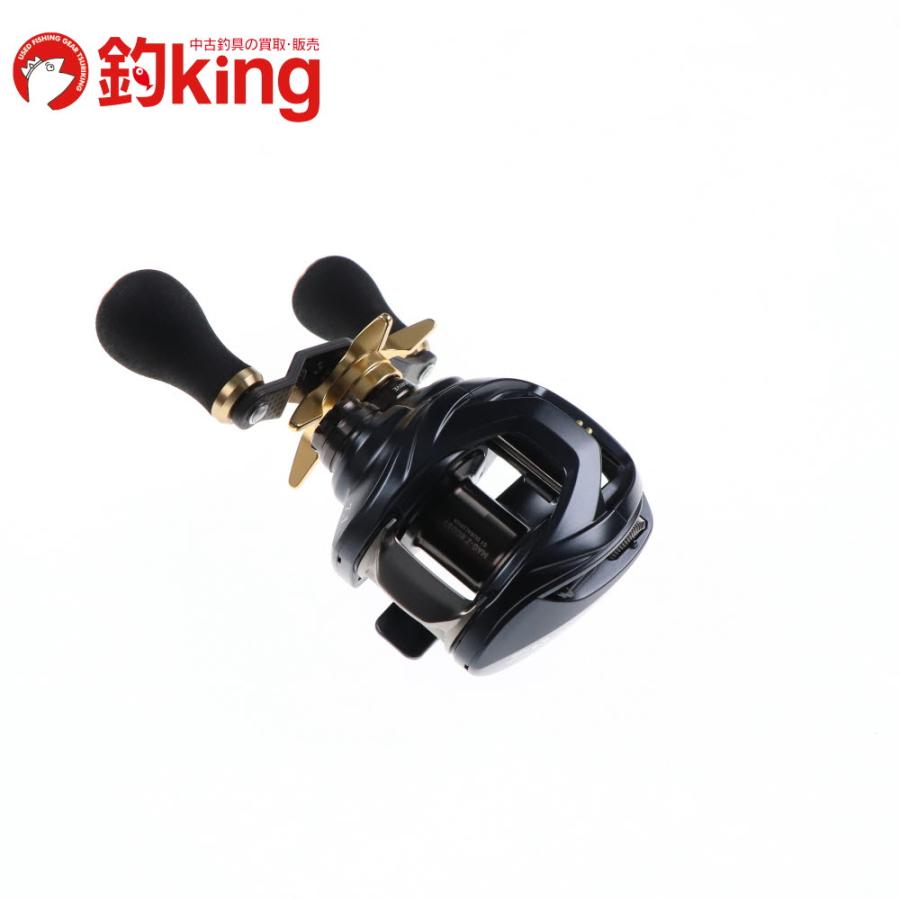 DAIWA（ダイワ） 23 スティーズ A II TW 1000HL SLPWK RCS95mmカーボン