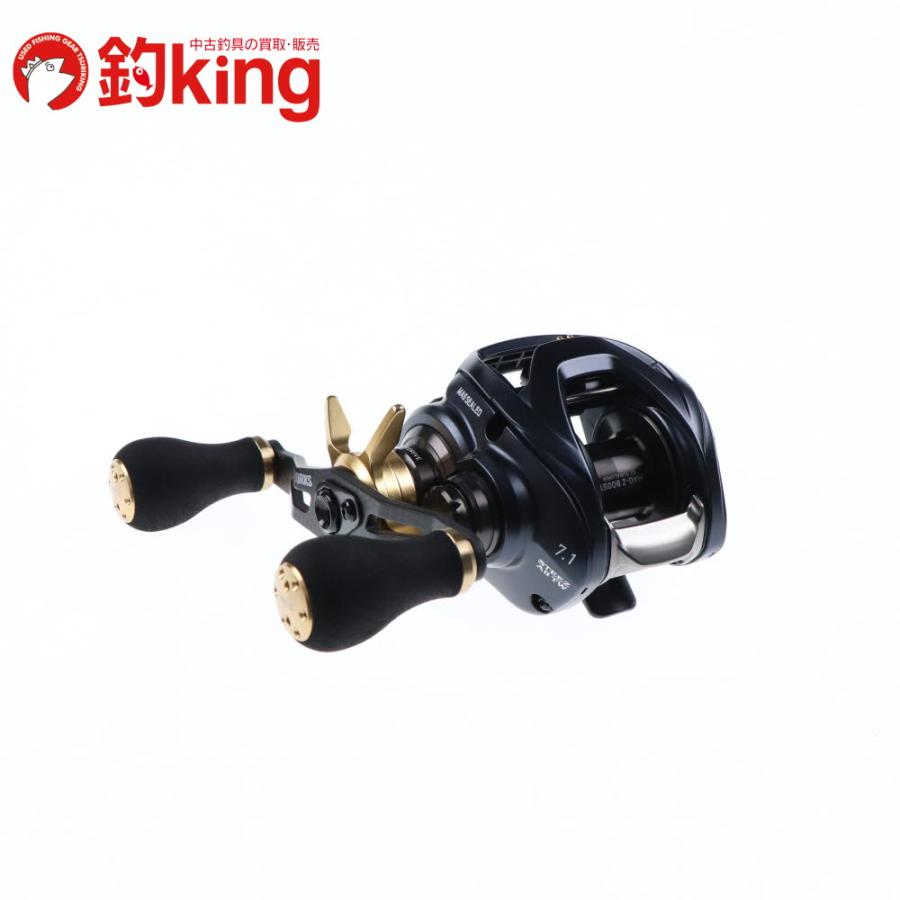 DAIWA（ダイワ） 23 スティーズ A II TW 1000HL SLPWK RCS95mmカーボン
