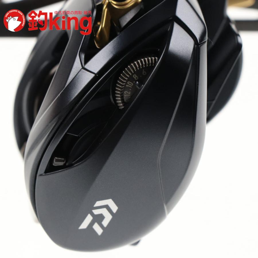 DAIWA（ダイワ） 23 スティーズ A II TW 1000HL SLPWK RCS95mmカーボン