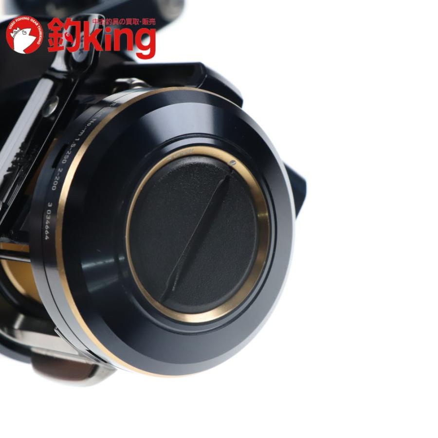 DAIWA（釣り） ダイワ 21 ソルティガ IC 100P-DH （1）SLPワークス  