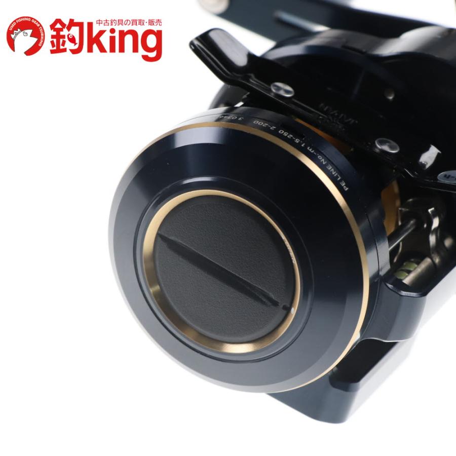 DAIWA（ダイワ） 21 ソルティガ IC 100P-DH （2）SLPワークス クランク