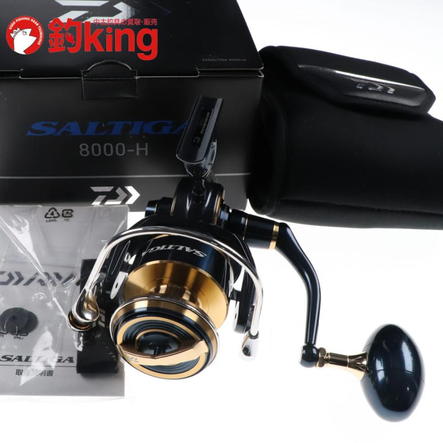 DAIWA（ダイワ） 20 ソルティガ 8000-H /Z347M 美品 ヒラマサ カンパチ