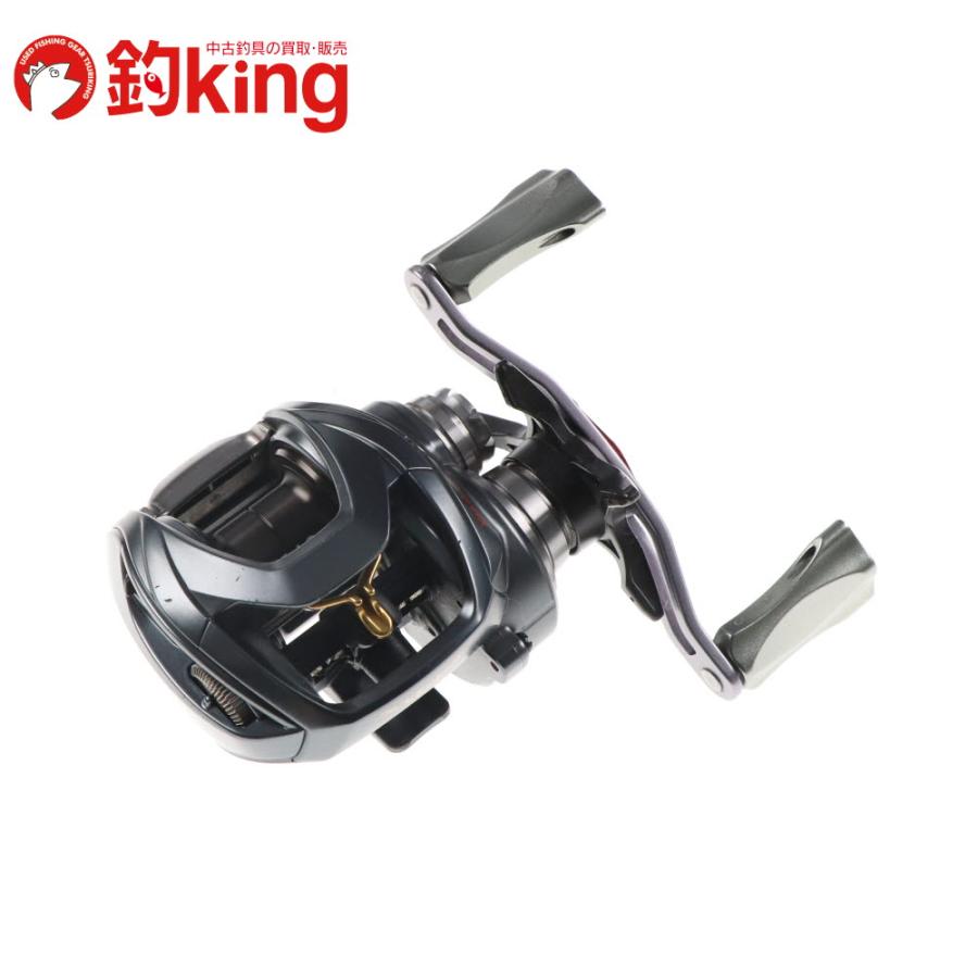 DAIWA（ダイワ） 17 スティーズ A TW 1016SHL RCS 1012スプール