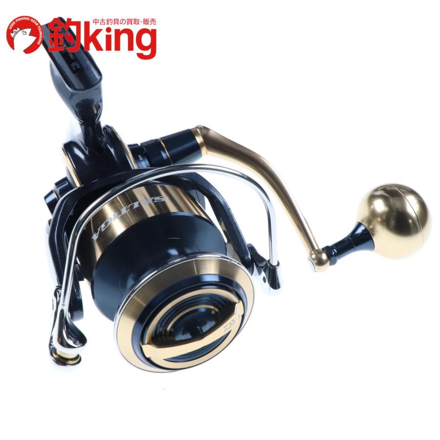 DAIWA（ダイワ） 20 ソルティガ 18000-H SLPワークススプール