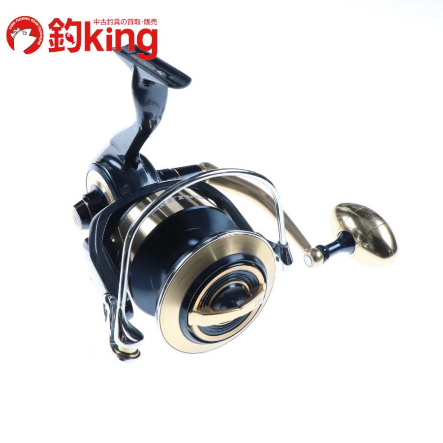 DAIWA（ダイワ） 20 SLPワークス ソルティガ セミオーダー 18000