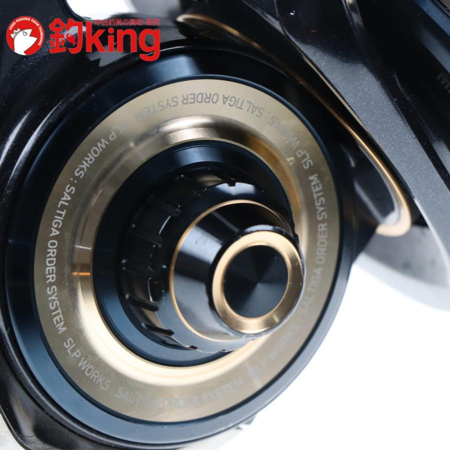 DAIWA（ダイワ） 20 SLPワークス ソルティガ セミオーダー 18000