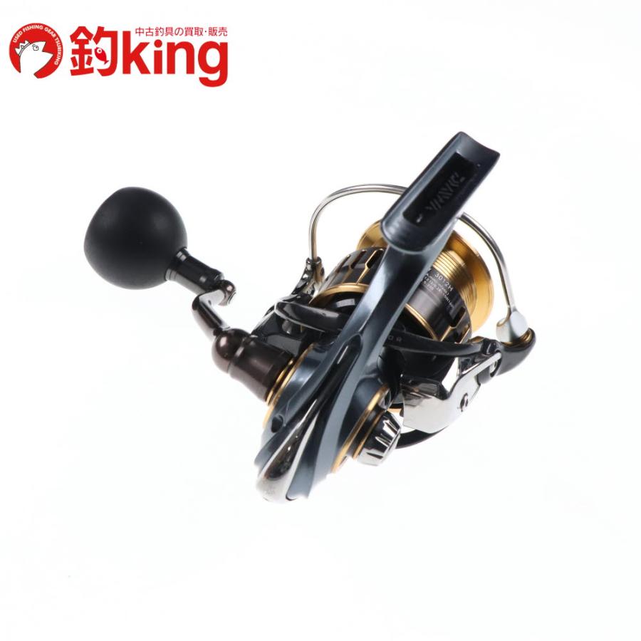 DAIWA（ダイワ） 17 セオリー 3012H /C307M アオリイカ エギング