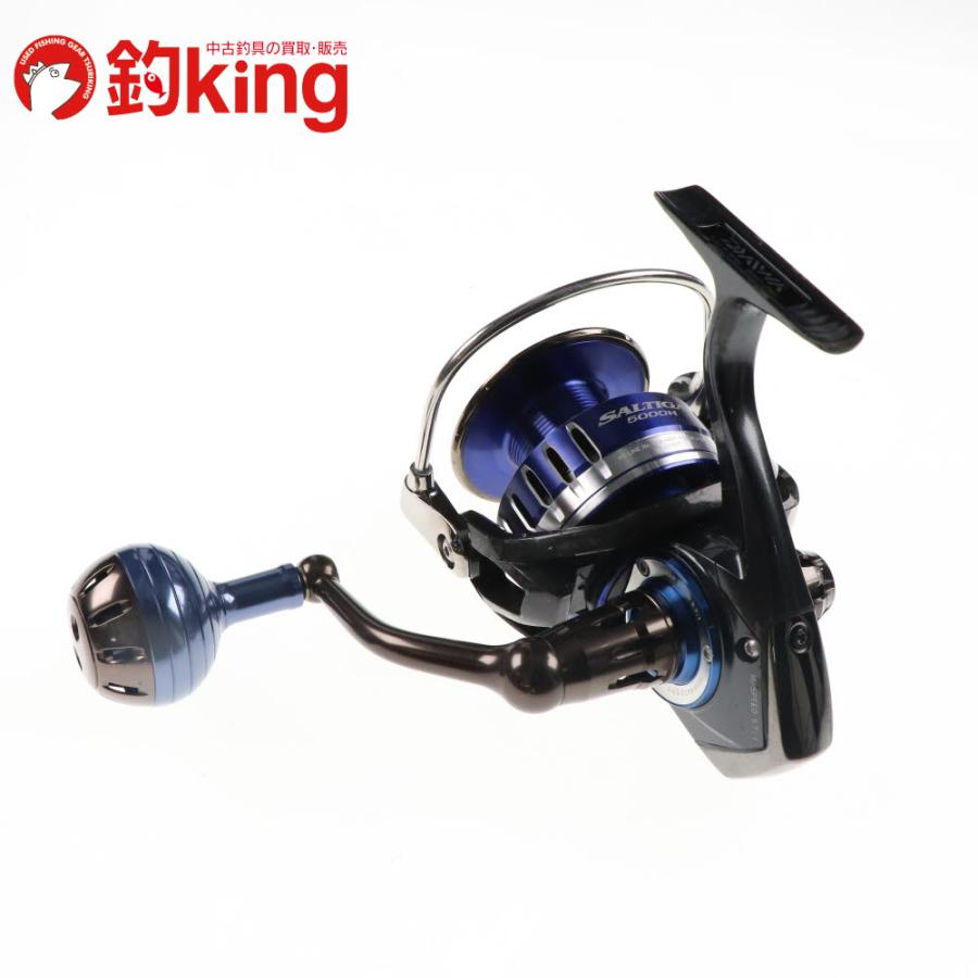 DAIWA（ダイワ） 15 ソルティガ 5000H /D274M ヒラマサ カンパチ ブリ