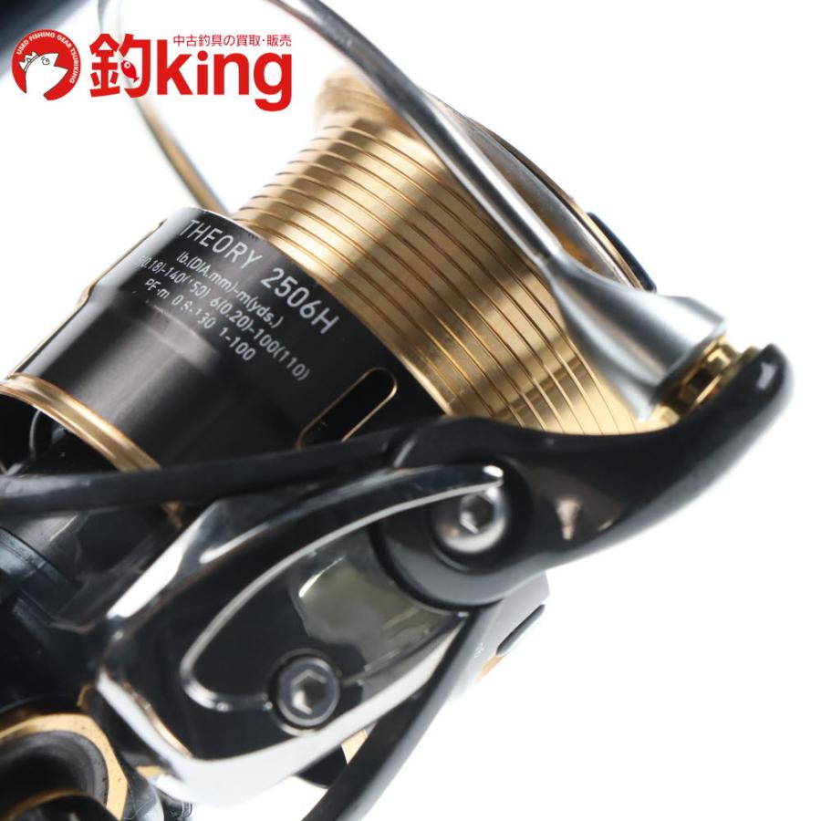 DAIWA（ダイワ） 17 セオリー 2506H /F077M ブラックバス バス バス