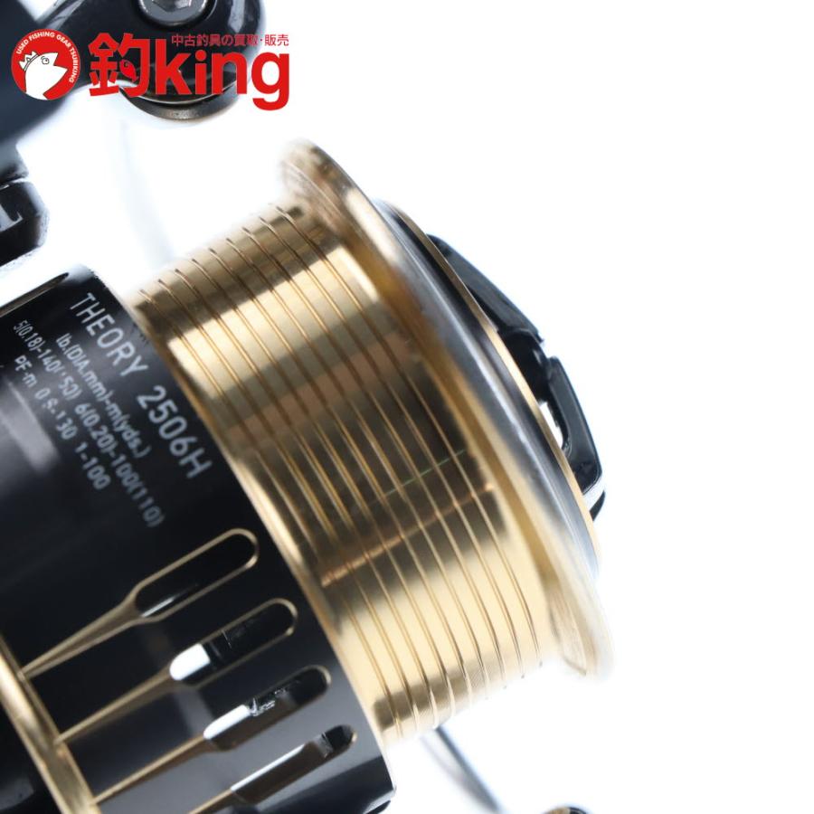 DAIWA（ダイワ） 17 セオリー 2506H /F077M ブラックバス バス バス
