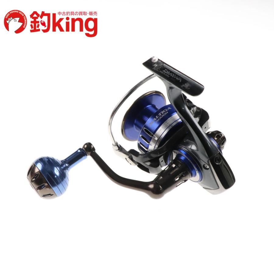 DAIWA（ダイワ） 15 ソルティガ 5000H /G202M ヒラマサ ブリ ワラサ